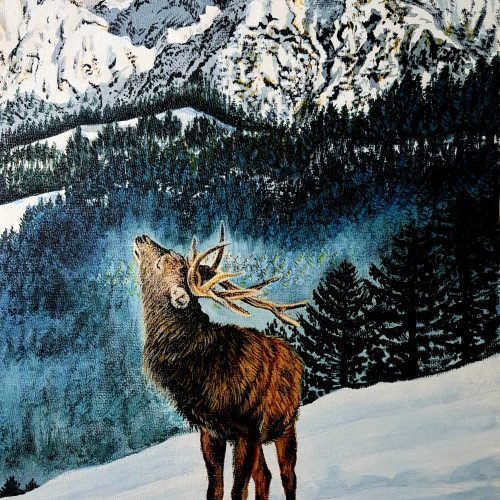 e25e32_3a24b2bf2d54456eb095d5c37071c06bmv2