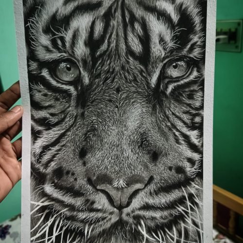 e2728b_b92ed4f7e7764b139168fa73e6365b50mv2