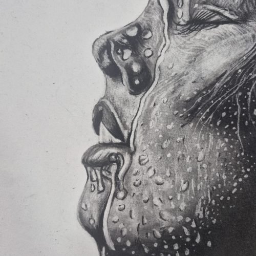 e2b580_c7a723134cf5436b8ea2d191d00173acmv2