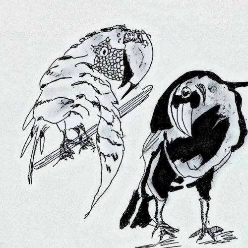 e78c9f_5c1bd8e01ce24c5d9449aab022dce405mv2