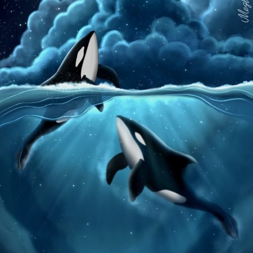 eb9b64_887d2487731d4f7aa94099104f437db2mv2