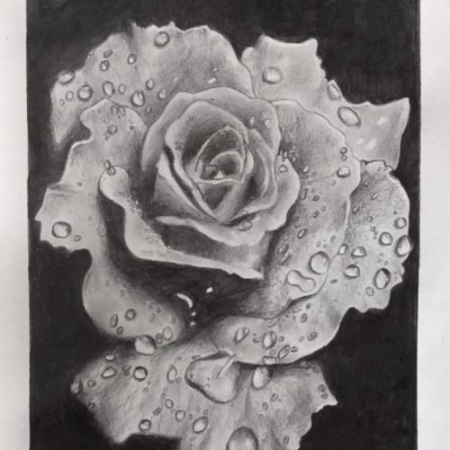 ef155e_a17898819625448ab8c60d579ec0830emv2