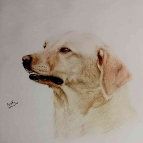 f275a6_aa7d4a775714497ca86eda59014fa46cmv2